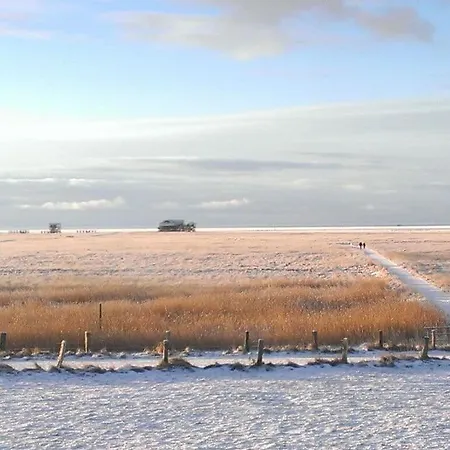 Kuestkieker Modern Retreat *