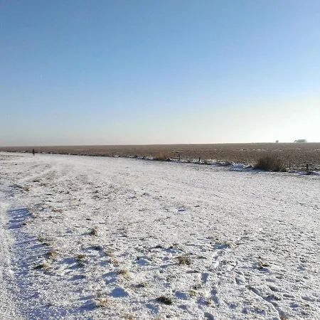 Kuestkieker Modern Retreat Ferienhaus *