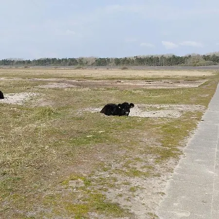 Ferienhaus Kuestkieker Modern Retreat Sankt Peter-Ording