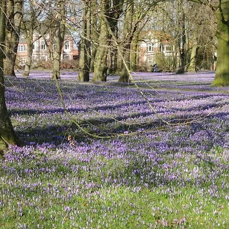 Kuestkieker Modern Retreat Ferienhaus Sankt Peter-Ording